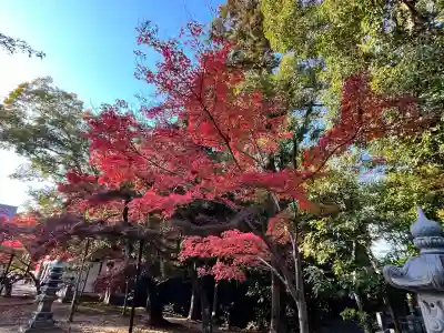 光明寺（粟生光明寺）(京都府)
