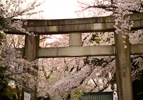 上野東照宮の鳥居