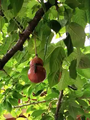 秋葉神社(東京都)