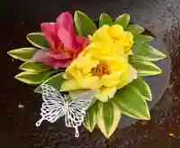 真言宗 善通寺派 薬王寺(香川県)