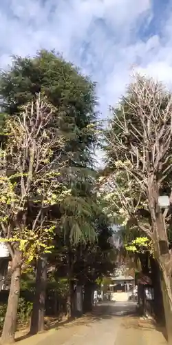 亀戸 香取神社(東京都)