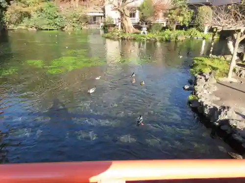 富士山本宮浅間大社の庭園