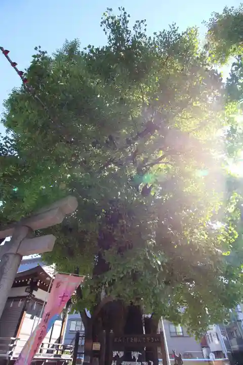 飛木稲荷神社(東京都)