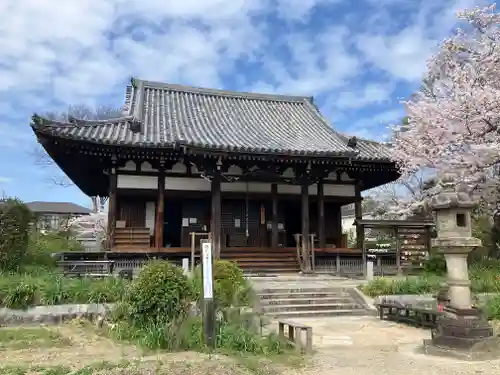 般若寺 ❁﻿コスモス寺❁(奈良県)