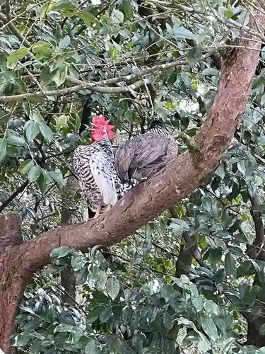 石上神宮(奈良県)