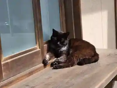 海童神社(佐賀県)