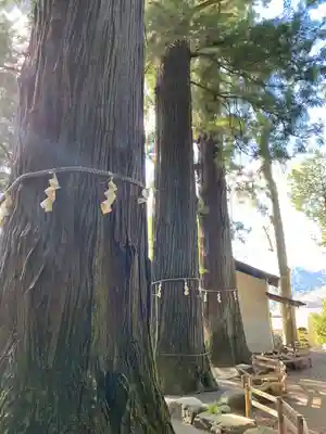 河口浅間神社(山梨県)