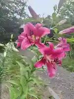 厚別神社(北海道)