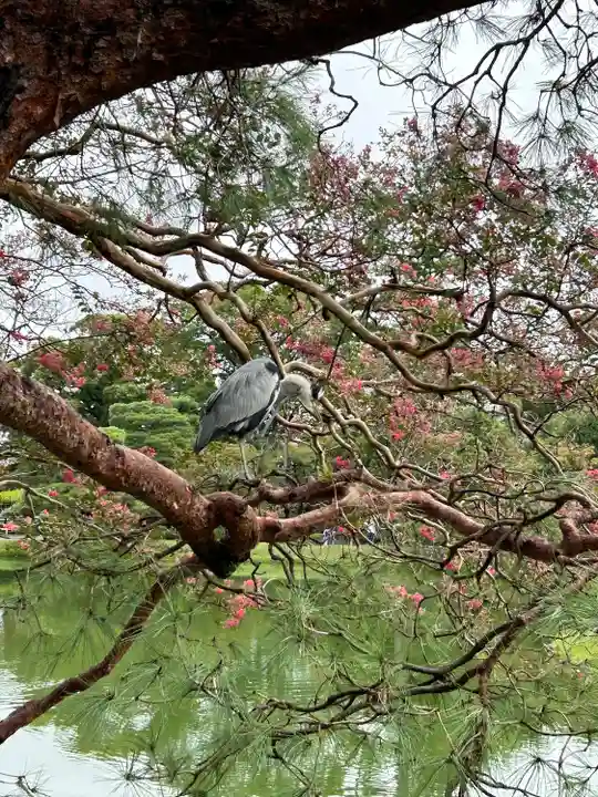 平等院(京都府)