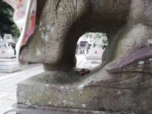 菊田神社の建物その他