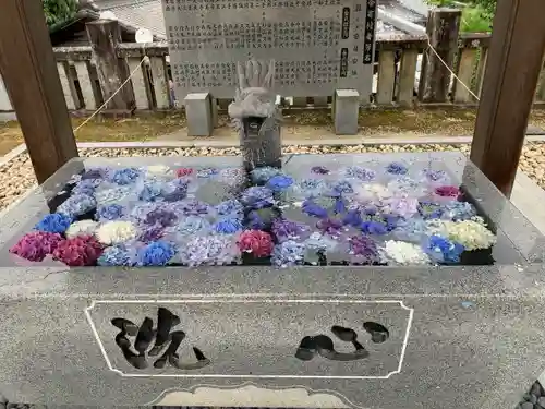 粟井神社の手水舎