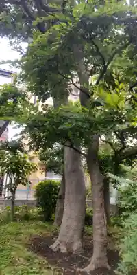 佐竹稲荷神社(東京都)