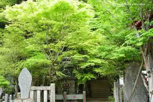 大山阿夫利神社のその他建物