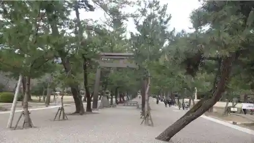 出雲大社の鳥居