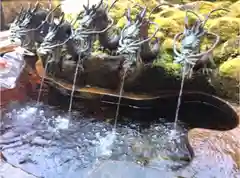 箱根神社の手水