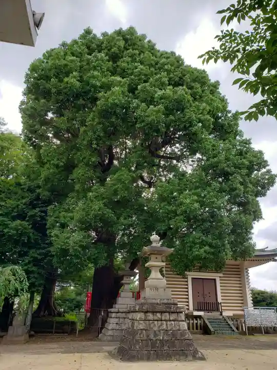 諏訪神社のその他建物
