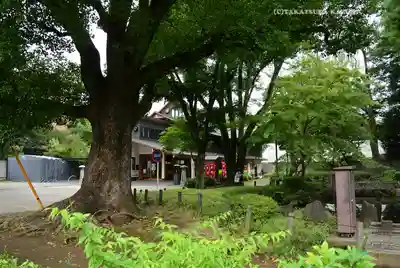 増上寺塔頭 三縁山 宝珠院(東京都)