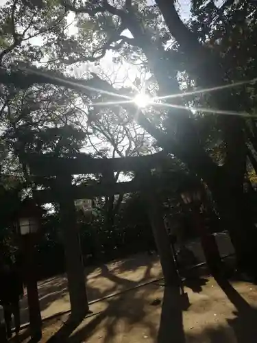 住吉神社の鳥居