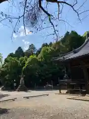 神積寺の本殿