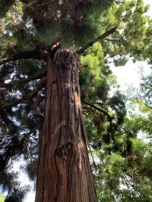 宝樹院小山寺(茨城県)