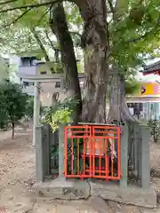 粟津天満神社の自然