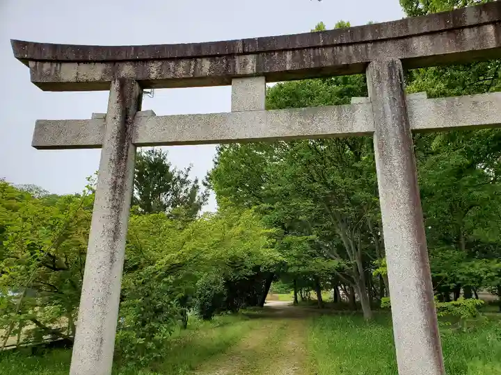 小杜神社(多坐彌志理都比古神社摂社)の鳥居