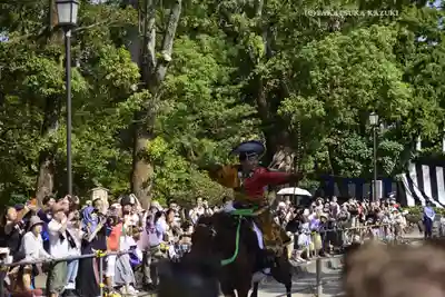 鶴岡八幡宮(神奈川県)