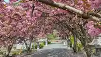 伊香具神社(滋賀県)