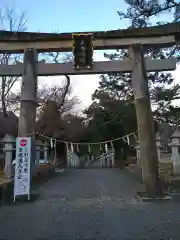 大鳥神社の鳥居