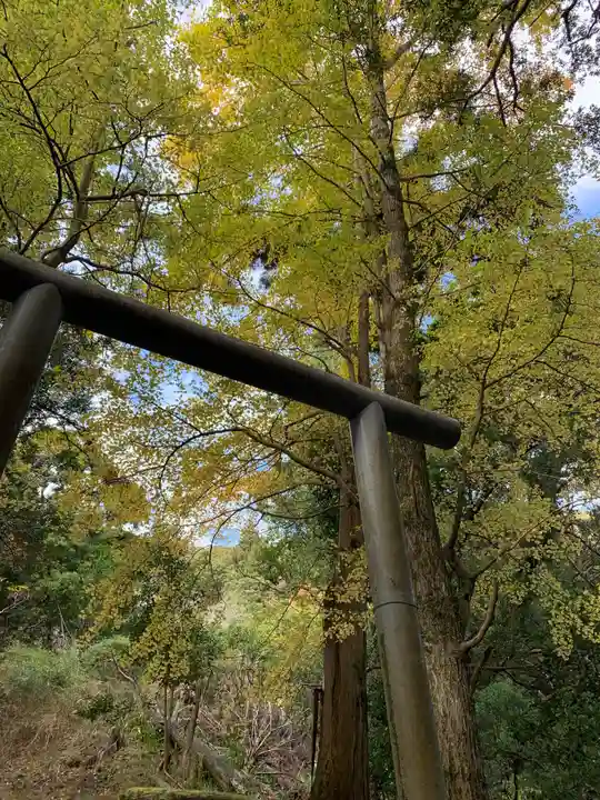八坂神社(千葉県)