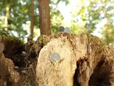 日光二荒山神社(栃木県)