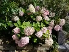 日御碕神社(島根県)