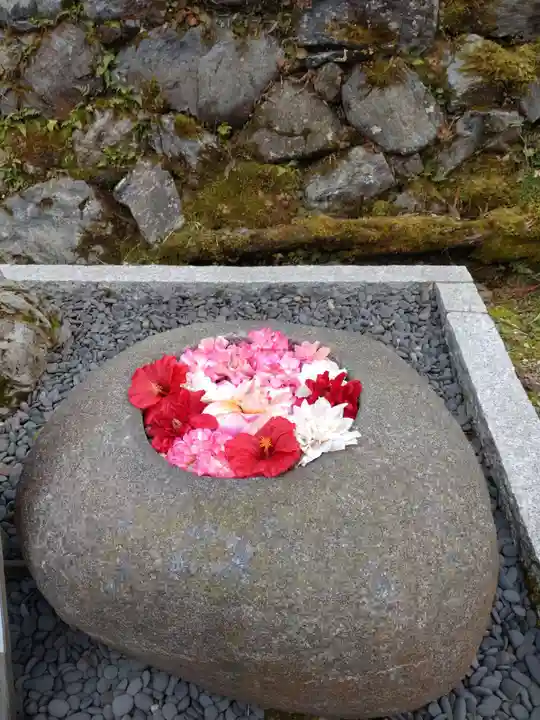 正寿院の手水舎