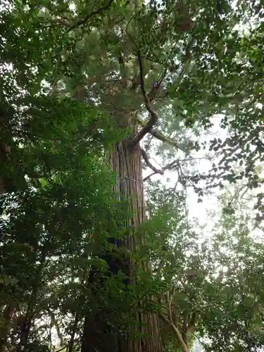 須佐神社(島根県)
