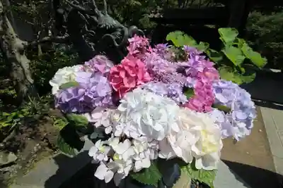 成就院の手水舎