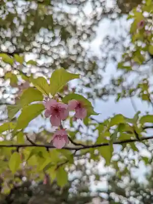 蓮華王院（三十三間堂）(京都府)