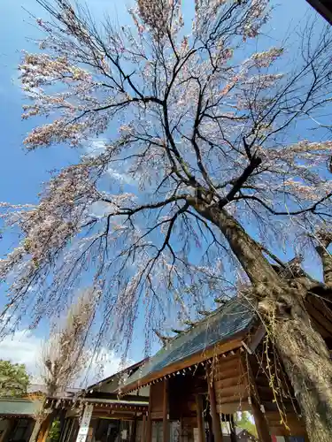 開成山大神宮の自然
