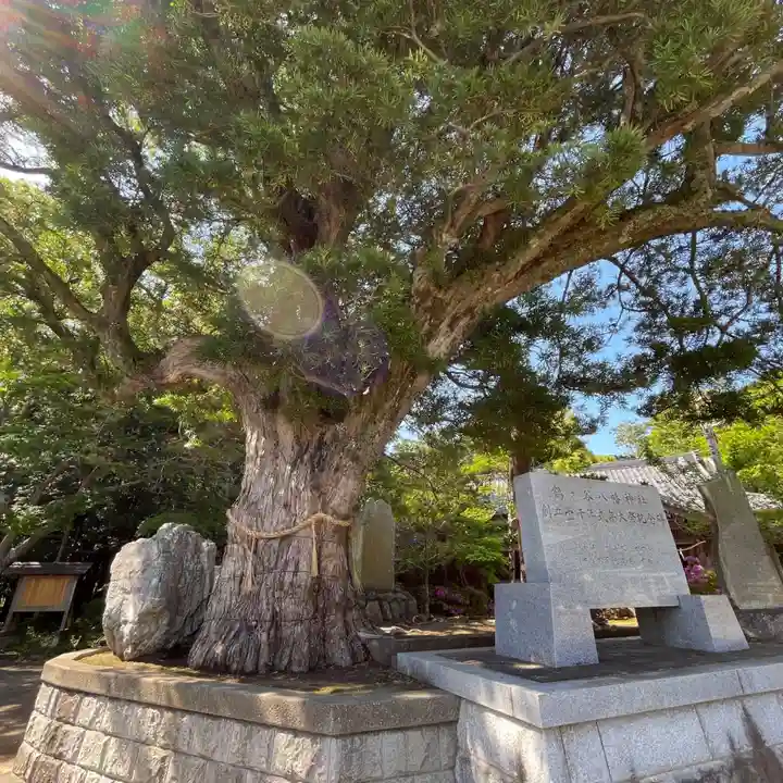 鶴谷八幡宮の自然