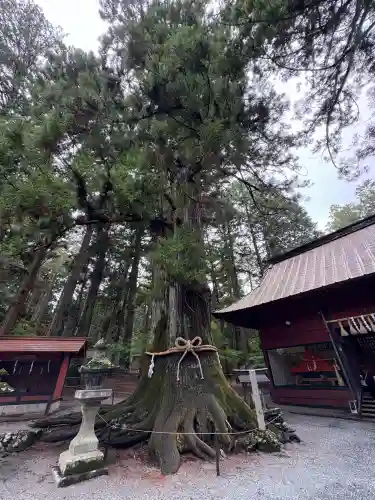 北口本宮冨士浅間神社(山梨県)