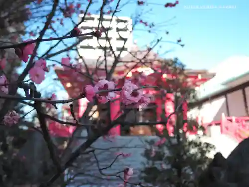 成子天神社のその他建物