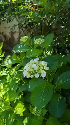 尊陽院(京都府)