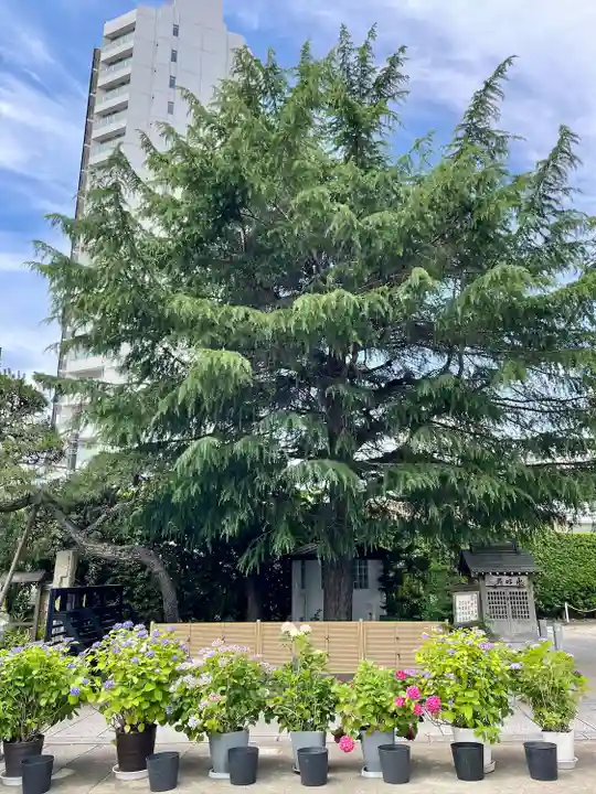法蓮寺(東京都)