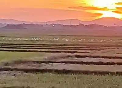 白狐山光星寺(山形県)