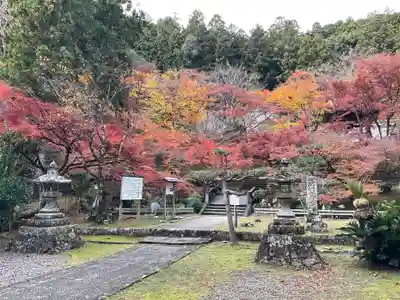 大洞院(静岡県)