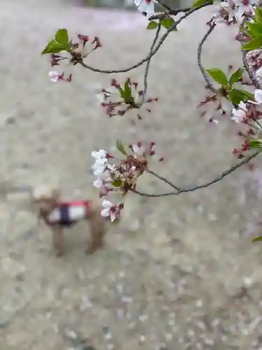 伊勢の国 四天王寺の自然