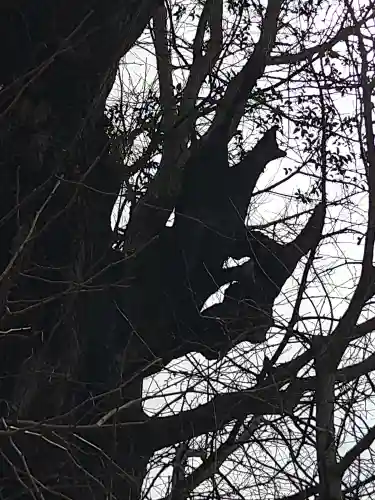 飛木稲荷神社の自然