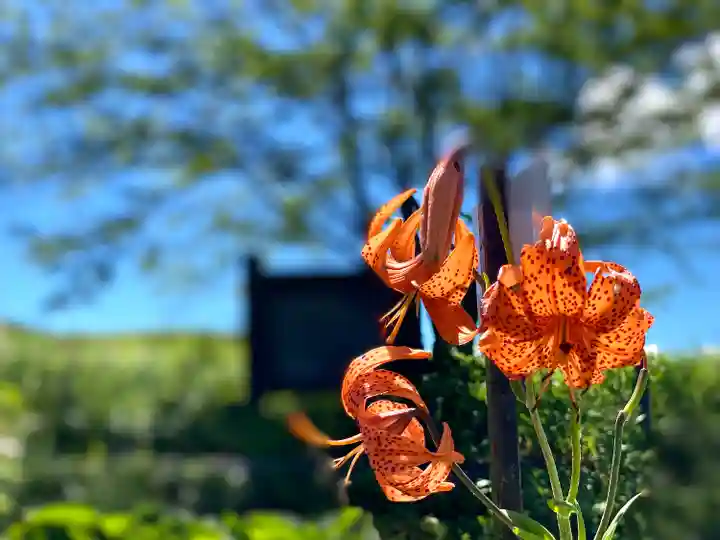 車山神社(長野県)