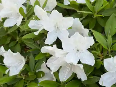 西方山極楽寺(岐阜県)