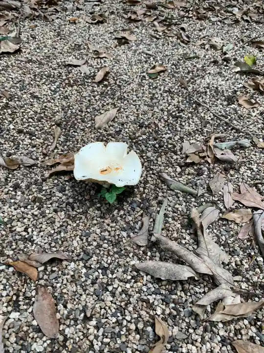 能褒野神社(三重県)