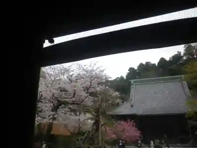 妙本寺のその他建物